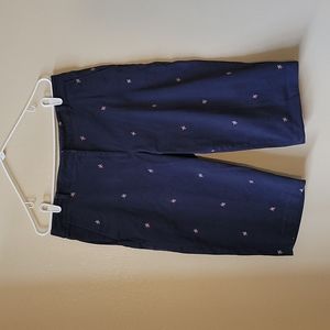 Briggs New York Dragonfly Print Capri Pants